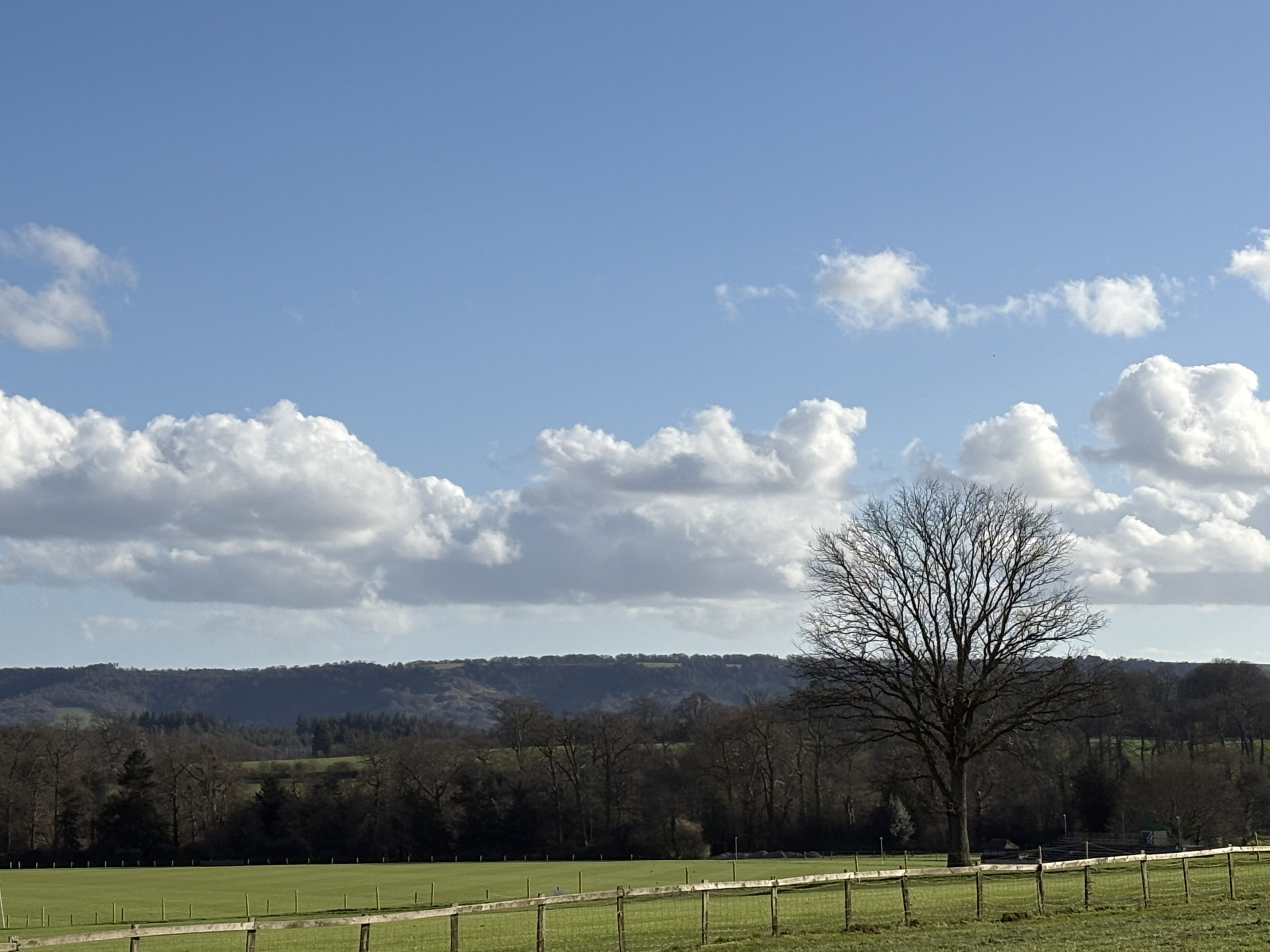 Polo fields